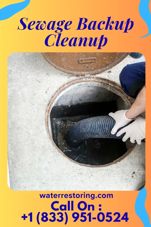 Sewage Backup Cleanup in Grundy, VA