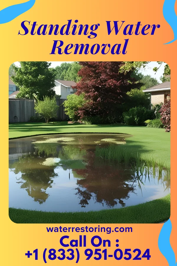 Standing Water Removal in Grundy, VA